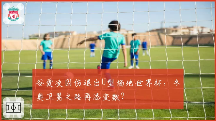谷爱凌因伤退出U型场地世界杯,冬奥卫冕之路再添变数?